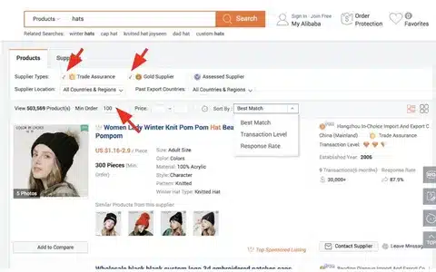 Example of Alibaba supplier listing showing trade assurance, gold supplier, and product details.